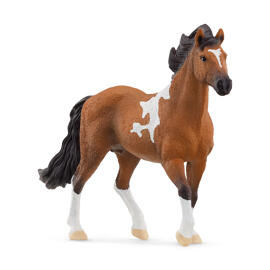 Pferd & Reiterinnen schleich