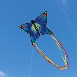 Kinderdrachen COLOUR IN MOTION