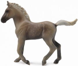 Pferd & Reiterinnen COLLECTA