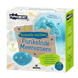 Experimentieren & Forschen MOSES