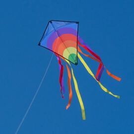 Kinderdrachen COLOUR IN MOTION
