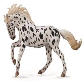 Pferd & Reiterinnen COLLECTA