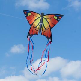 Kinderdrachen COLOUR IN MOTION