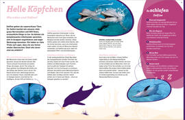 6 bis 12 Jahre TESSLOFF