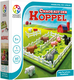 Knobeln & Rätseln Smart Games