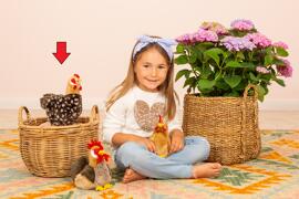 auf dem Land Hermann Teddy Collection