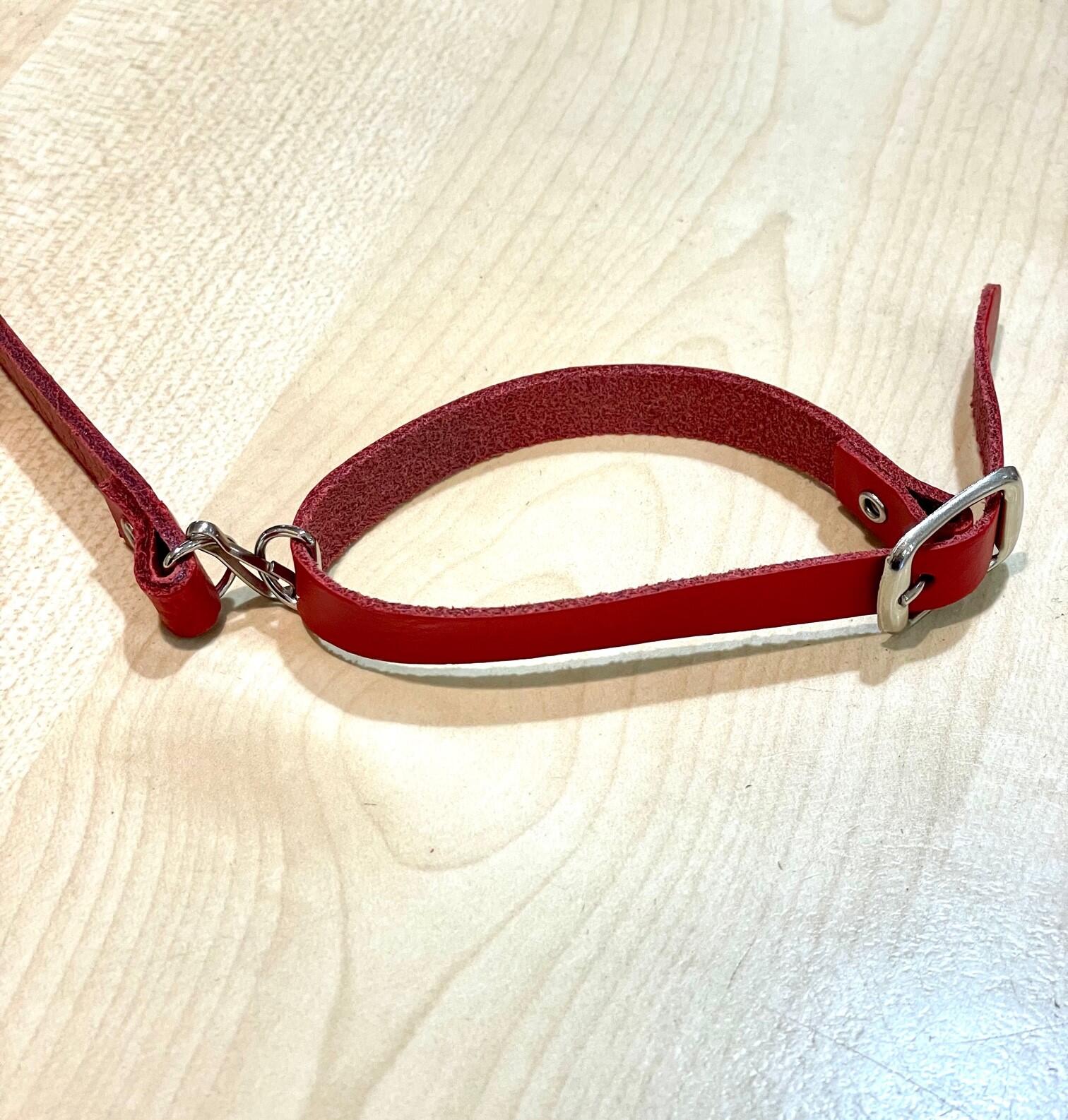 AURICH Hundeleine mit Halsband ca.25cm | richtig gutes Spielzeug