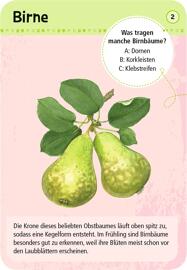 Sämereien & Garten 6 bis 12 Jahre moses. Verlag