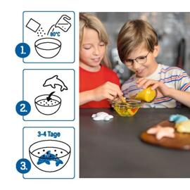 Experimentieren & Forschen MOSES