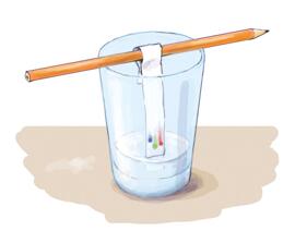 Experimentieren & Forschen moses. Verlag