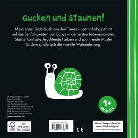 Bilderbücher ARS EDITION