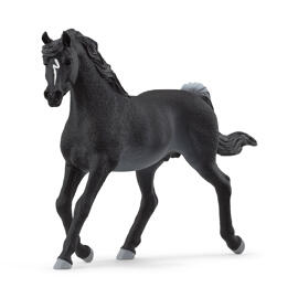 Pferd & Reiterinnen schleich