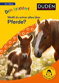 Lesen lernen DUDEN