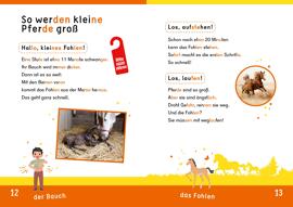 Lesen lernen DUDEN