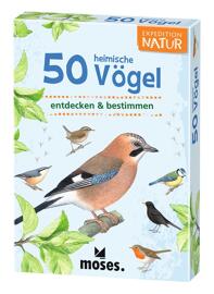 Philosophie, Umwelt & Menschen Karten- & Mitbringspiele moses. Verlag