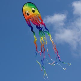 Kinderdrachen COLOUR IN MOTION