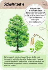 Atlanten, Natur & Tiere moses. Verlag