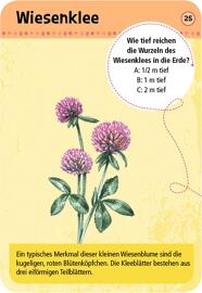 Sämereien & Garten 6 bis 12 Jahre moses. Verlag