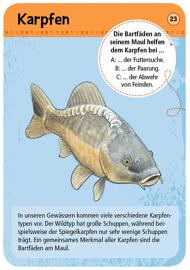 Karten- & Mitbringspiele Jugendliche moses. Verlag