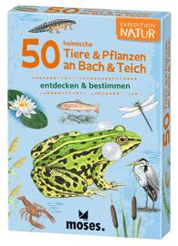 Karten- & Mitbringspiele Jugendliche moses. Verlag