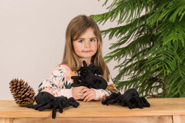 auf dem Land Hermann Teddy Collection