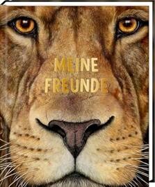 Sonstiges Die Spiegelburg