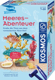 Forschen & Bauen Kosmos