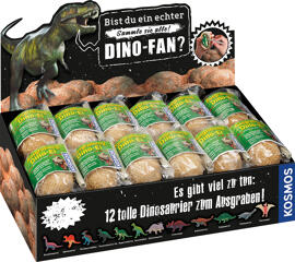 Ausgrabungsset Kosmos