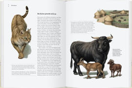 Atlanten, Natur & Tiere GERSTENBERG VERLAG