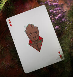 Pokerkarten THEORY 11