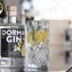 DormaGIN Premium Sloe Gin 20cl