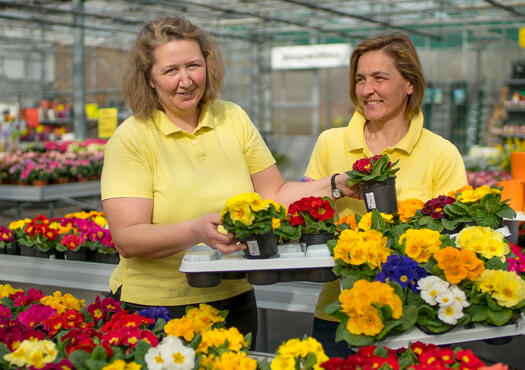 Monheimer Blumenmarkt