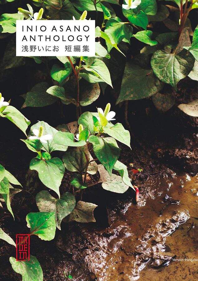 fiction Kana