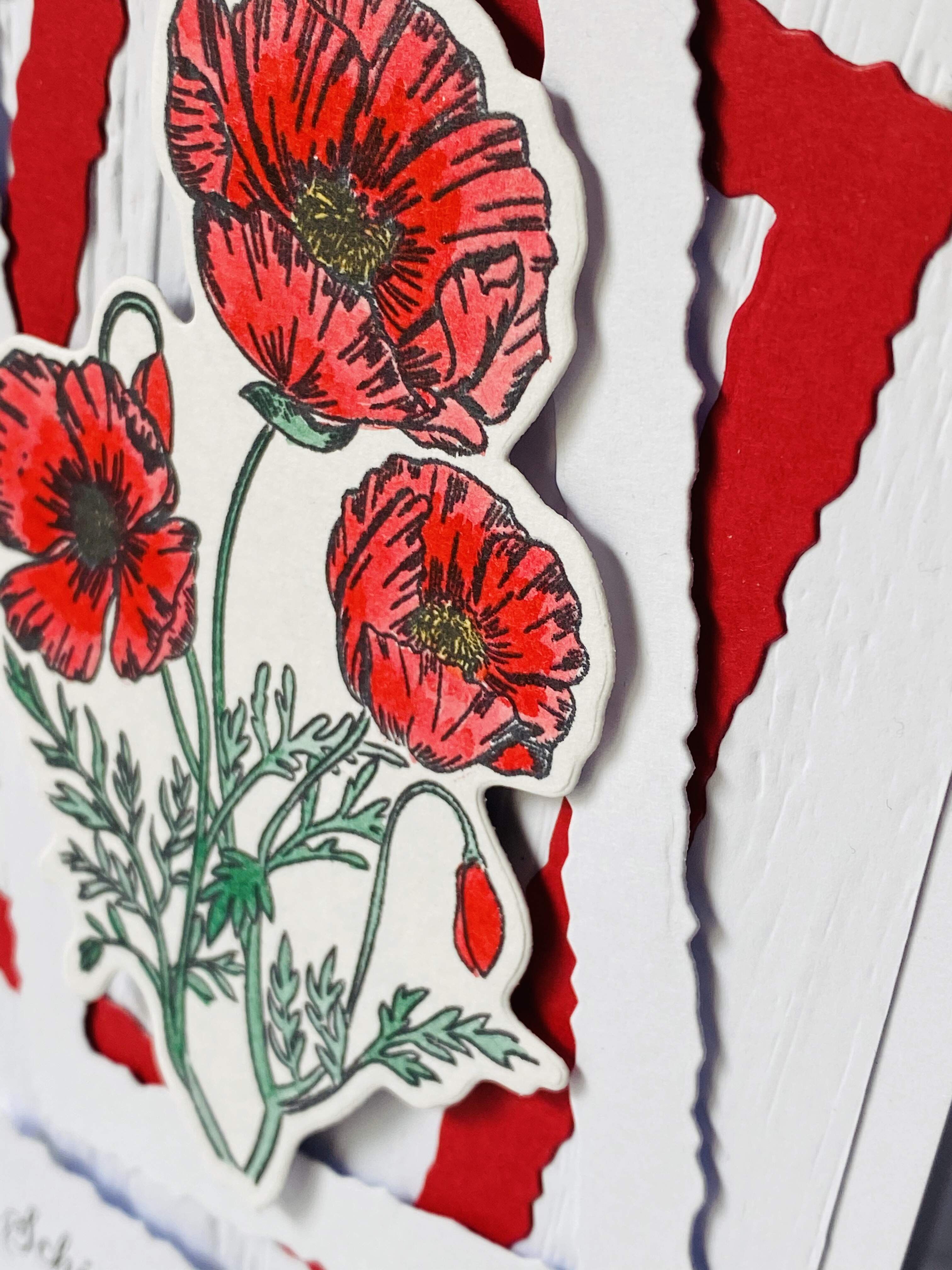 Carte D Anniversaire Avec Coquelicot Letzshop