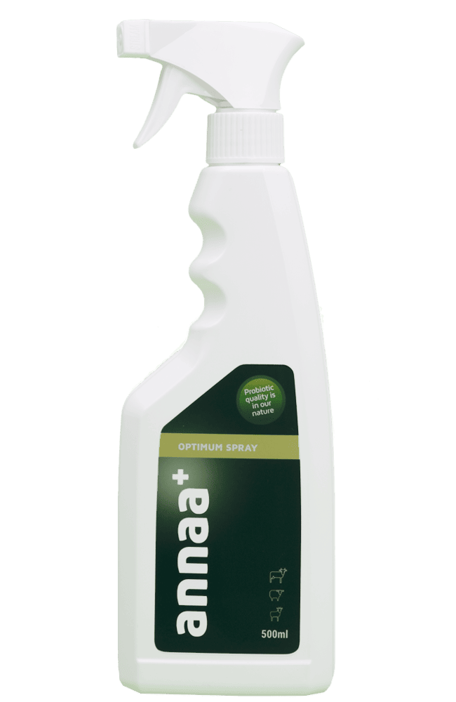 Natürliche Hygiene- und Behandlungsprodukte