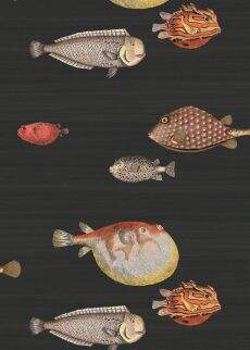 Tapeten Cole & Son