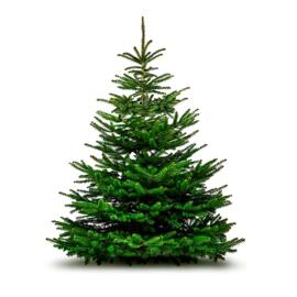 Festtags-Dekoartikel Weihnachtsbaum - Sapin de Noël 125/150
