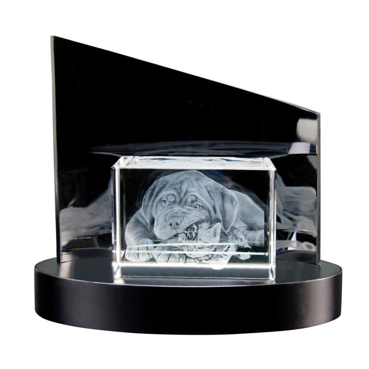 Contento 3d Foto In Glas 100x70x60mm Querformat Max Letzshop