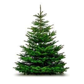 Festtags-Dekoartikel Weihnachtsbaum - Sapin de Noël 150/200