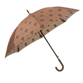Parasols et parapluies Fresk