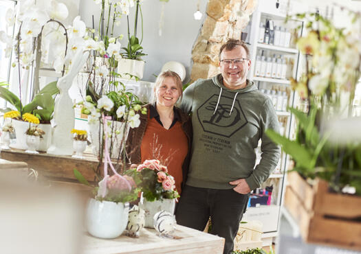 Beim Bonsai