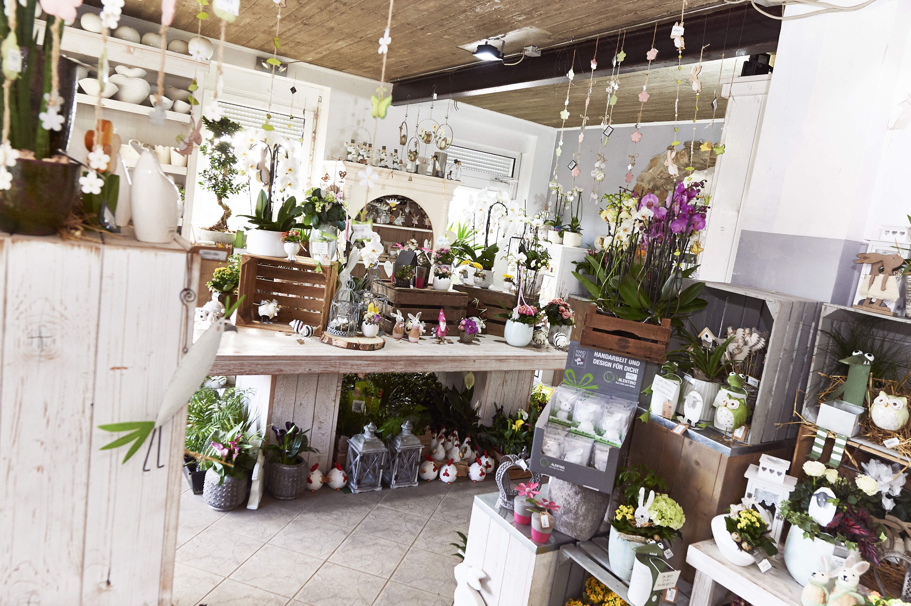 Beim Bonsai Fleurs A Dudelange Letzshop