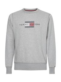 Pullover 1 & 1 Arm Tommy Hilfiger Menswear (PVH Group)