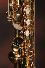 Saxophone Sequoia