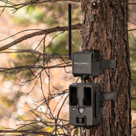 Caméras pour la faune Spypoint
