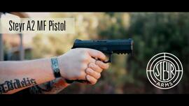 Pistolets Steyr Arms