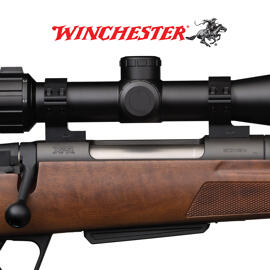 Montages Winchester