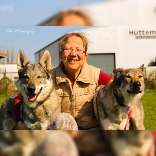 Geübter Umgang auch mit großen Hunde