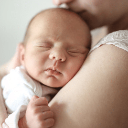 Babylotsen
