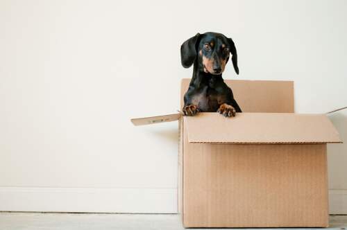 Verpackungsservice